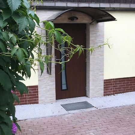 Apartament Wlodek 耶莱尼亚古拉 外观 照片