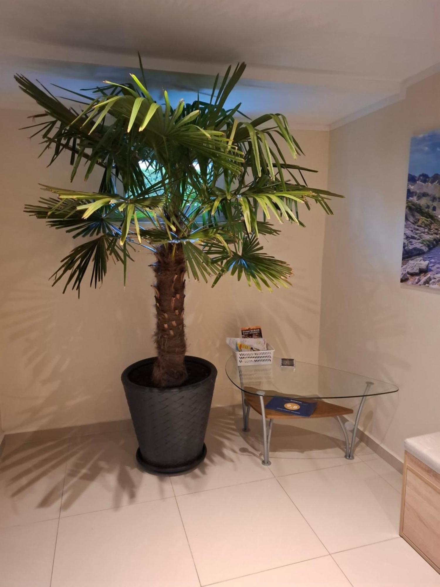 Apartament Wlodek 耶莱尼亚古拉 外观 照片